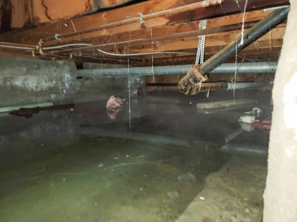 Water damage restoration insurance claims in Buchanan Dam, TX