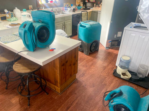 Best Carpet water damage restoration  in Buchanan Dam, TX