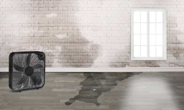 Best Water damage restoration near me  in Buchanan Dam, TX