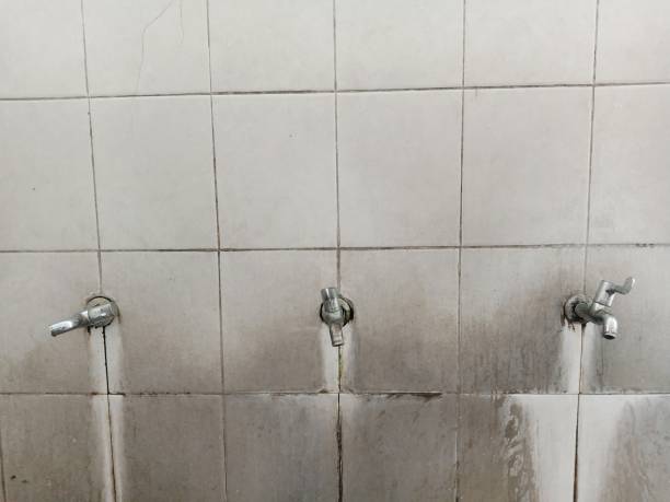 Best Carpet water damage restoration  in Buchanan Dam, TX
