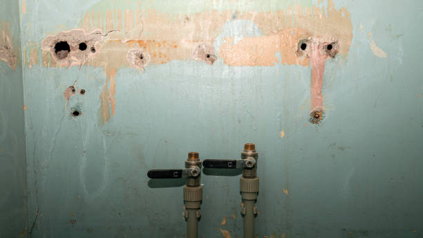 Best Water damage restoration insurance claims  in Buchanan Dam, TX